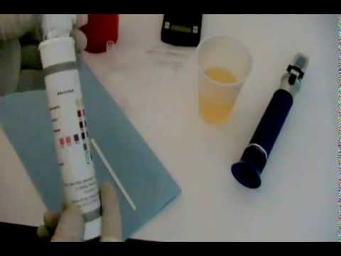 Synthetic Urine Sample Campbell University Zebulon NC